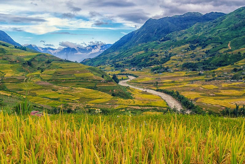Rice terraces at Ban Ho