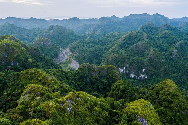 9 Best National Parks in Vietnam for Wildlife and Adventure