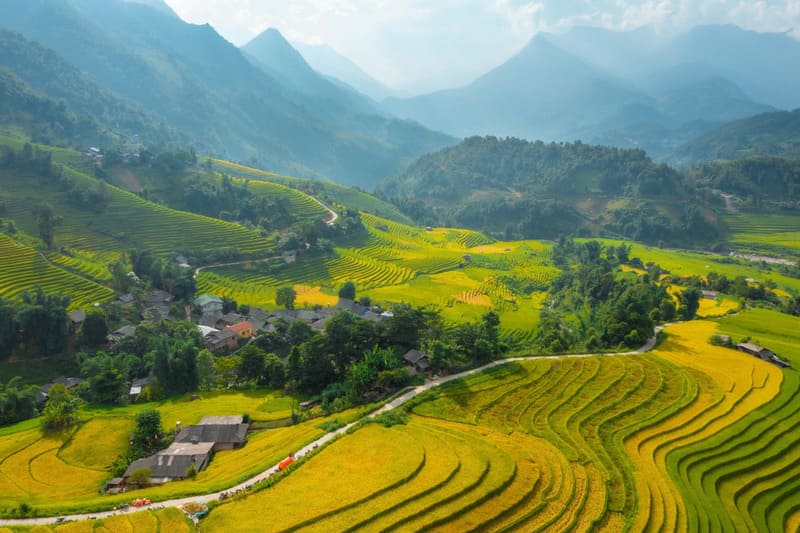 Best Time to See Sapa Rice Terraces: Planting & Harvest