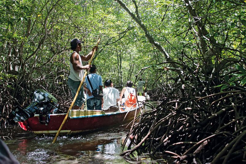 A boat ride through Can Gio
