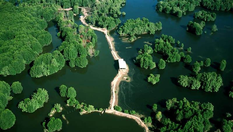 Vam Sat Ecotourism Site