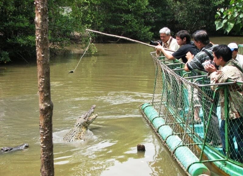 The crocodile conservation area