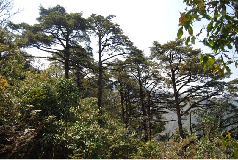 Hoang Lien National Park