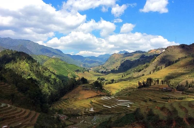 Hoang Lien National Park: Guide to the Wild Beauty of Sapa