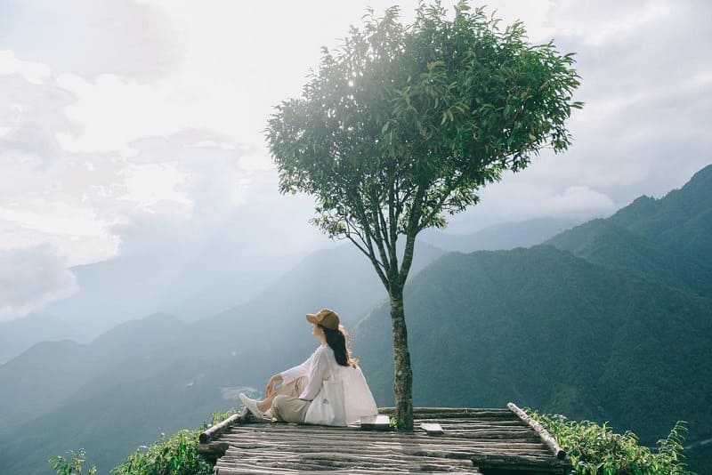 Lonely Tree