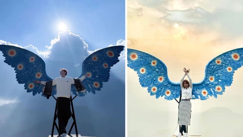 Giant Angel Wings