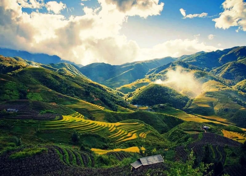The landscape of the terraced rice fields of Muong Hoa Valley