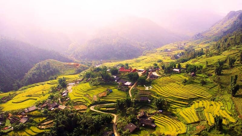 Rice terraces in Muong Hoa Valley