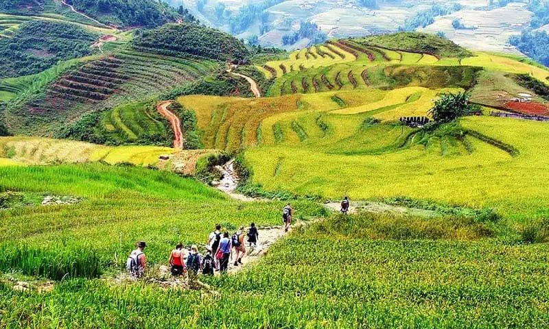 Trekking in Muong Hoa Valley