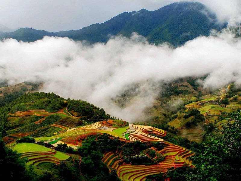 Muong Hoa Valley in Mar-May and Sep-Oct