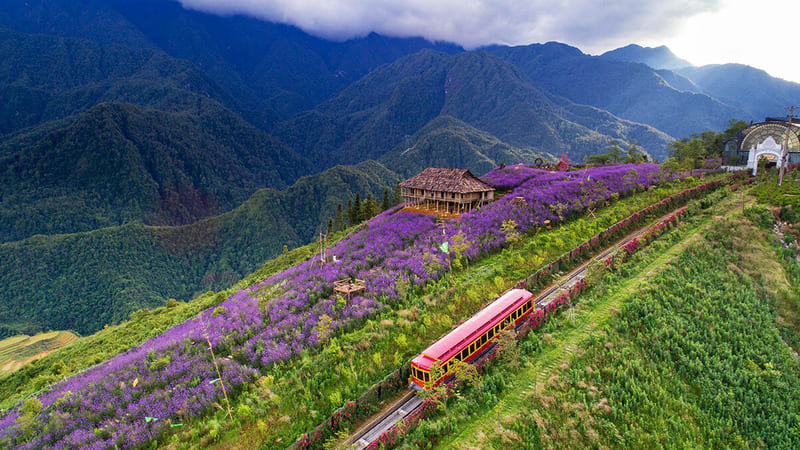 Muong Hoa Valley Sapa: A Complete Travel Guide