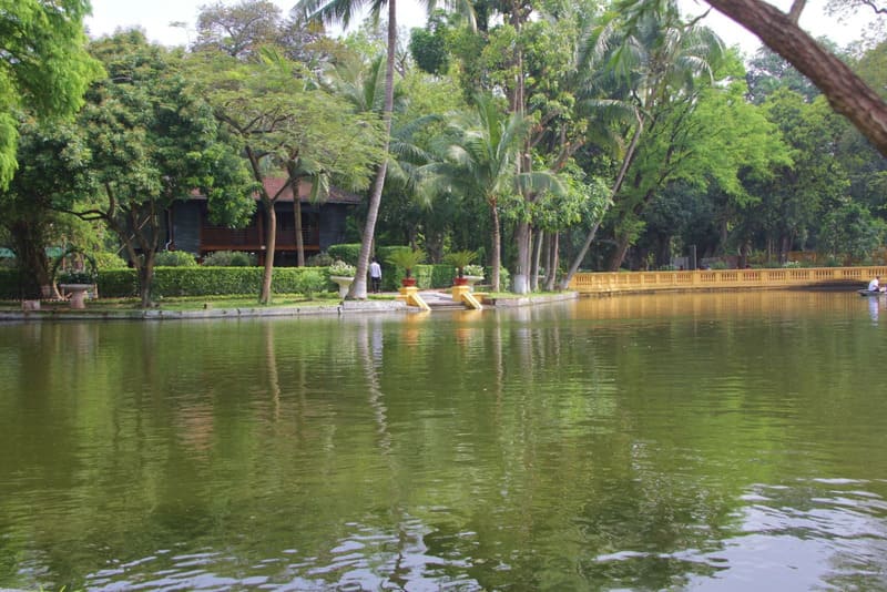 The peaceful fish pond