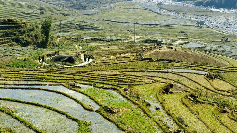 Sapa Ancient Rock Field
