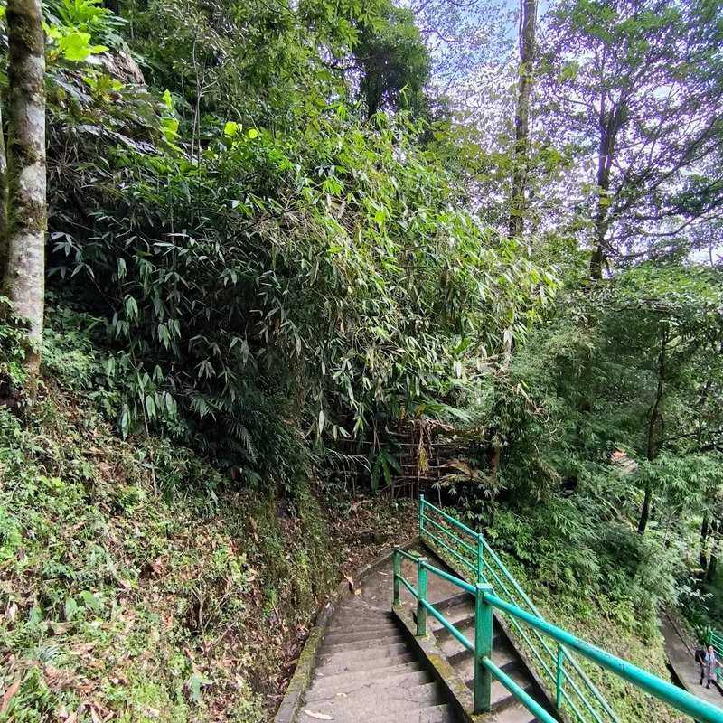 The path leading up to Silver Waterfall
