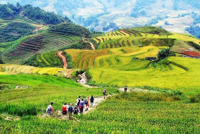 Sin Chai terraces