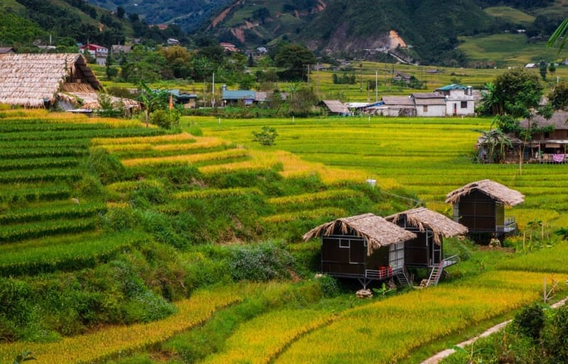 Sin Chai Village landscapes