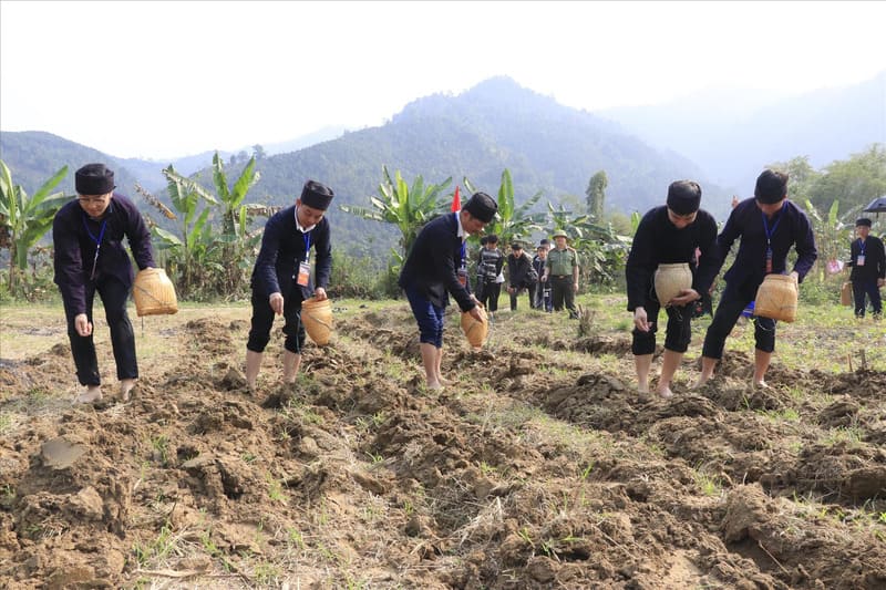 Local farming activities