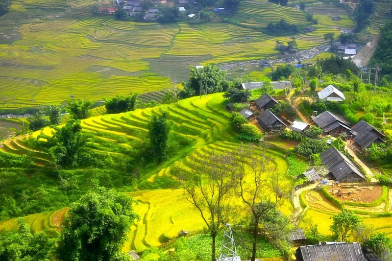 Sin Chai Village Sapa: A Hidden H’Mong Village to Explore