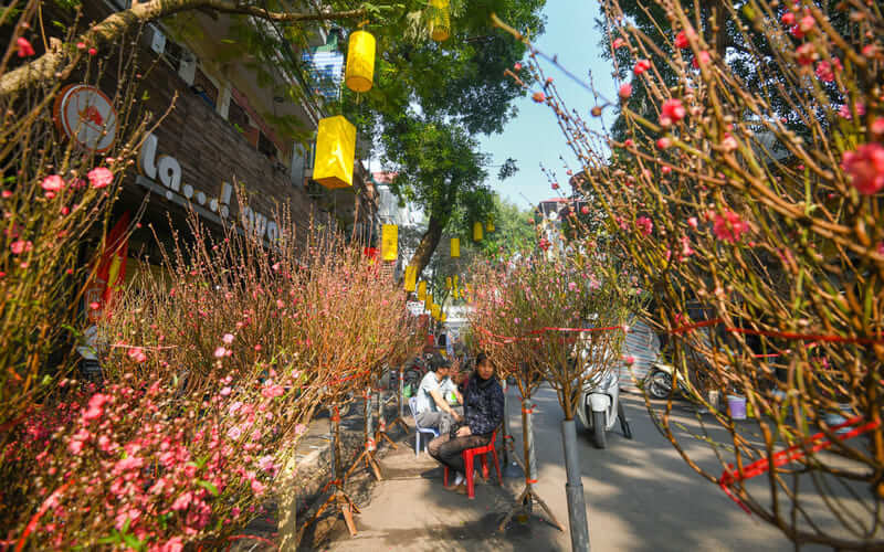 Hanoi in spring