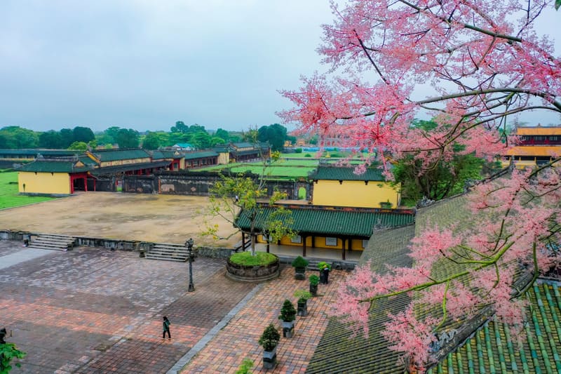 Nguyen Dynasty history