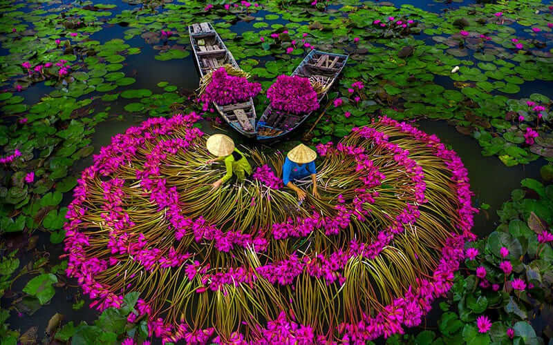 The Mekong Delta in February