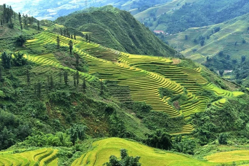 Ta Van Village: A Guide to Exploring Sapa’s Peaceful Village