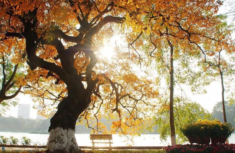 Vietnam in Autumn: Weather, Places to Visit & Travel Tips