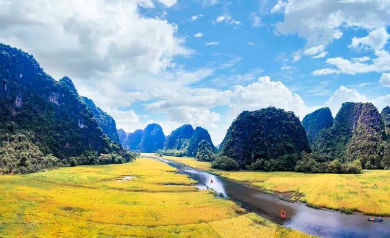 Rice fields in Tam Coc