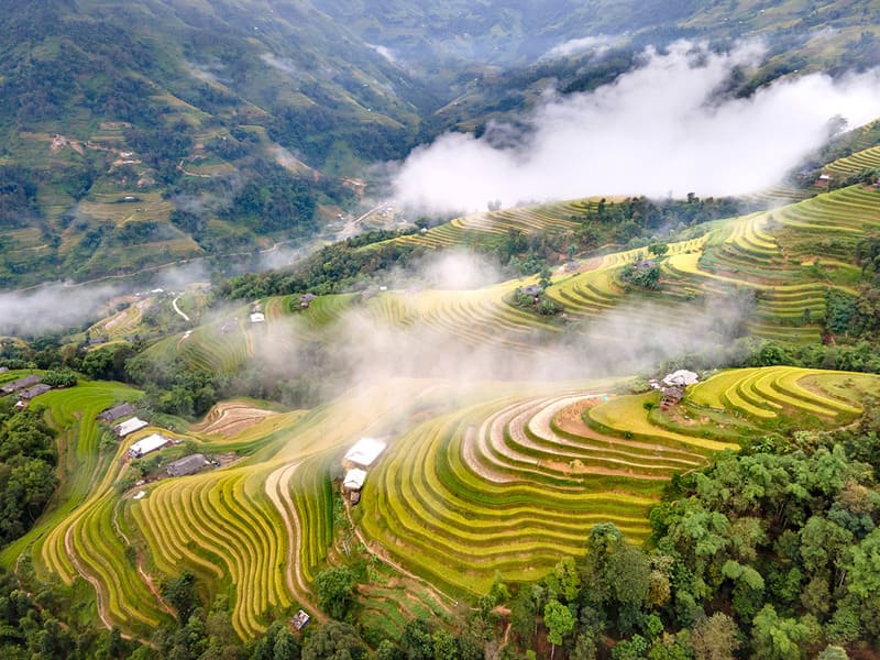 Layered rice terraces in Hoang Su Phi