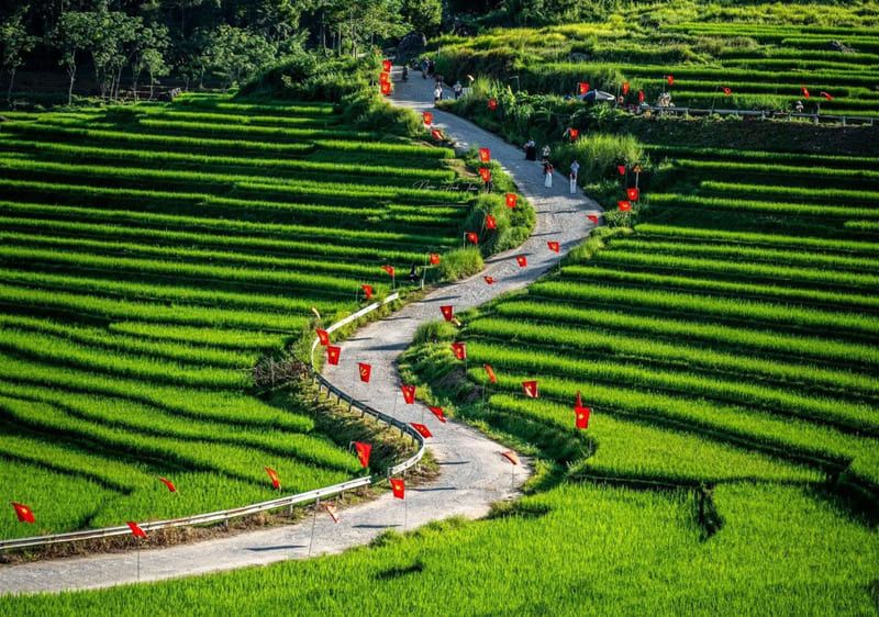Peaceful rice terraces in Pu Luong