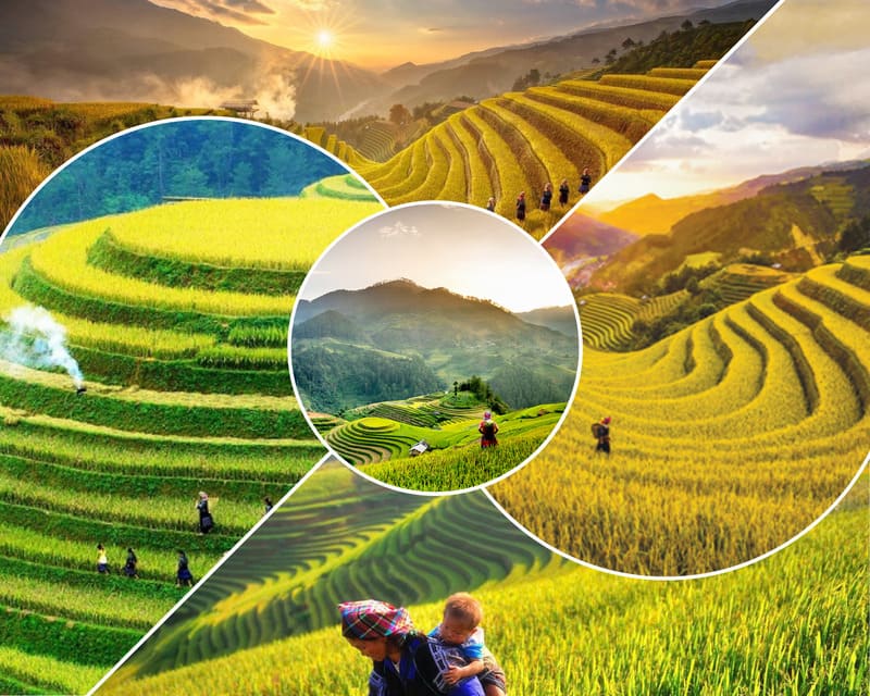 12 Most Beautiful Vietnamese Rice Paddies and Rice Terraces