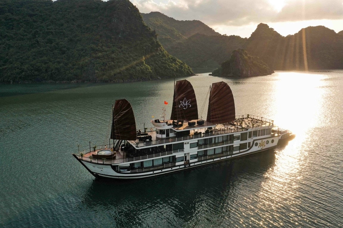 Orchid Trendy Cruise