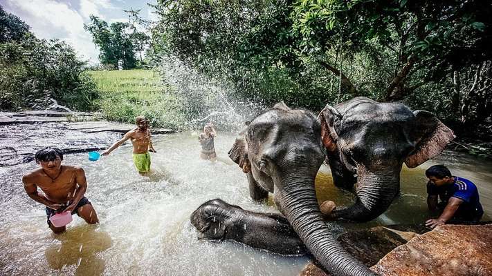 Truly Northern Thailand