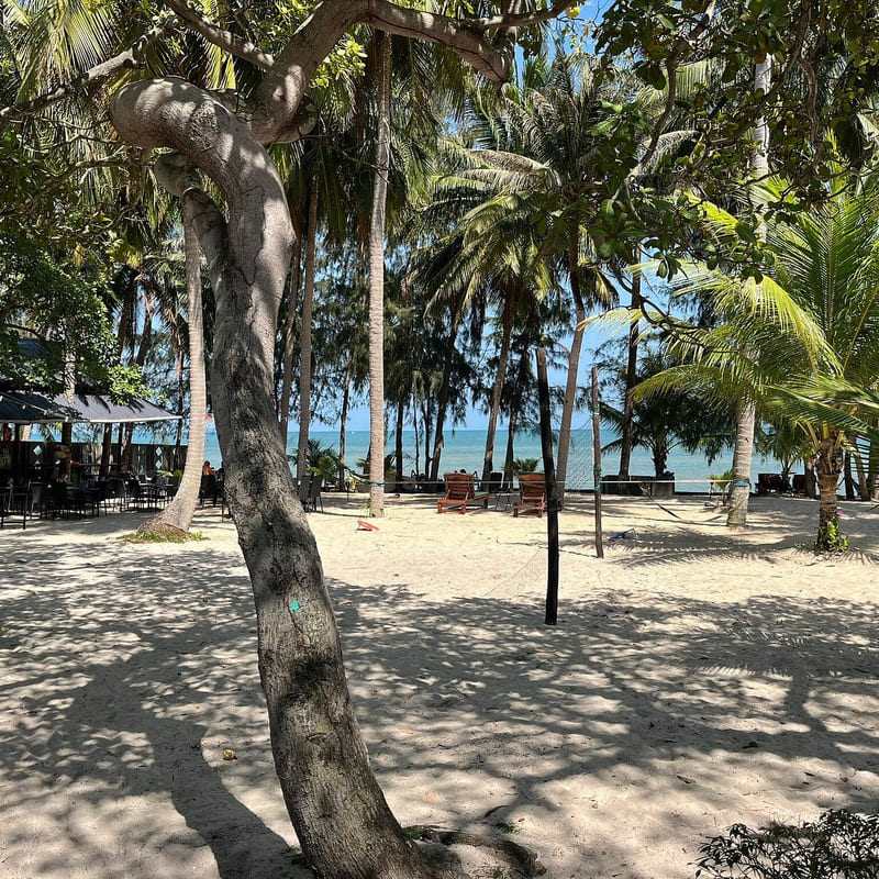 Coconut Beach