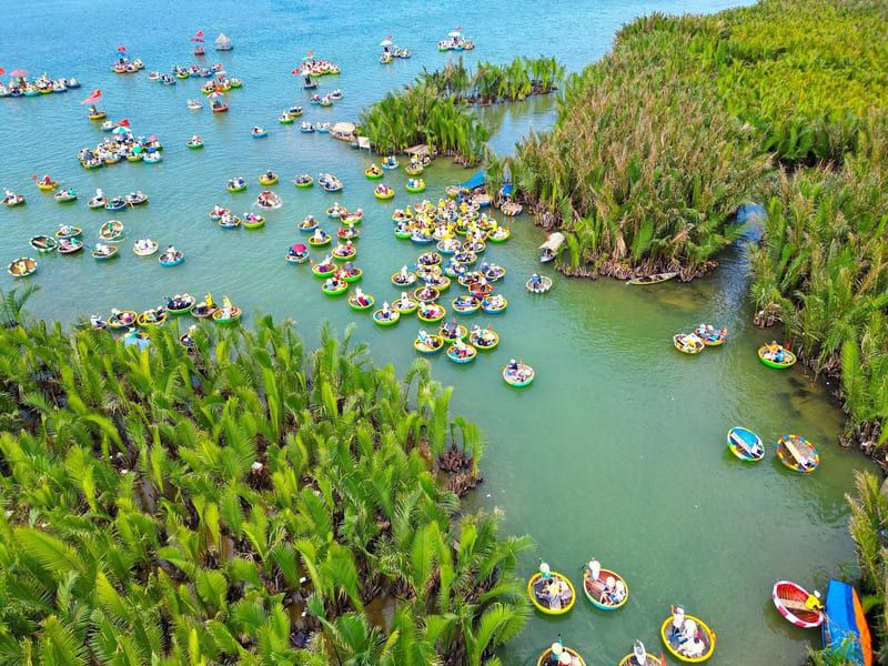 Bay Mau Coconut Forest