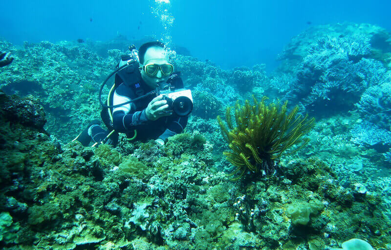 Snorkeling and taking photos of coral reefs at Cham Island