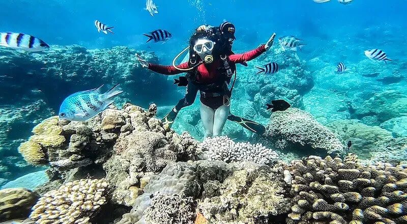 Cham Island snorkeling