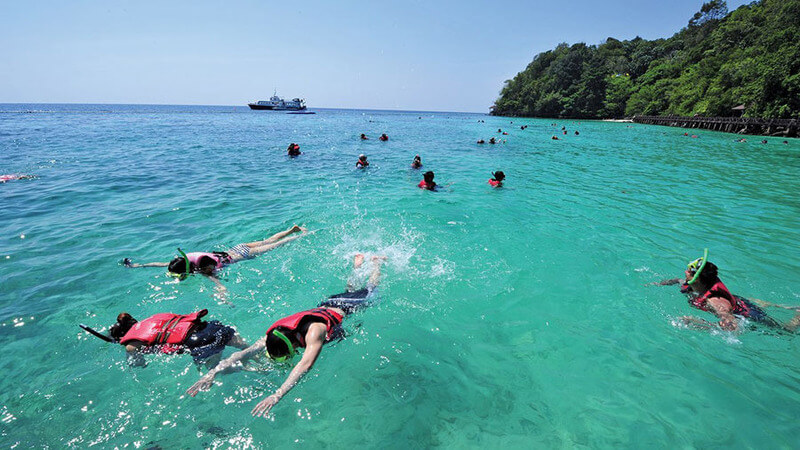 Snorkeling on Cham Island