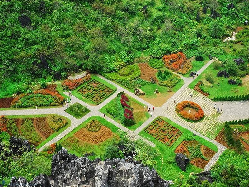 Colorful flower gardens