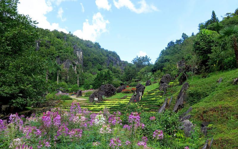 Ham Rong Mountain Sapa