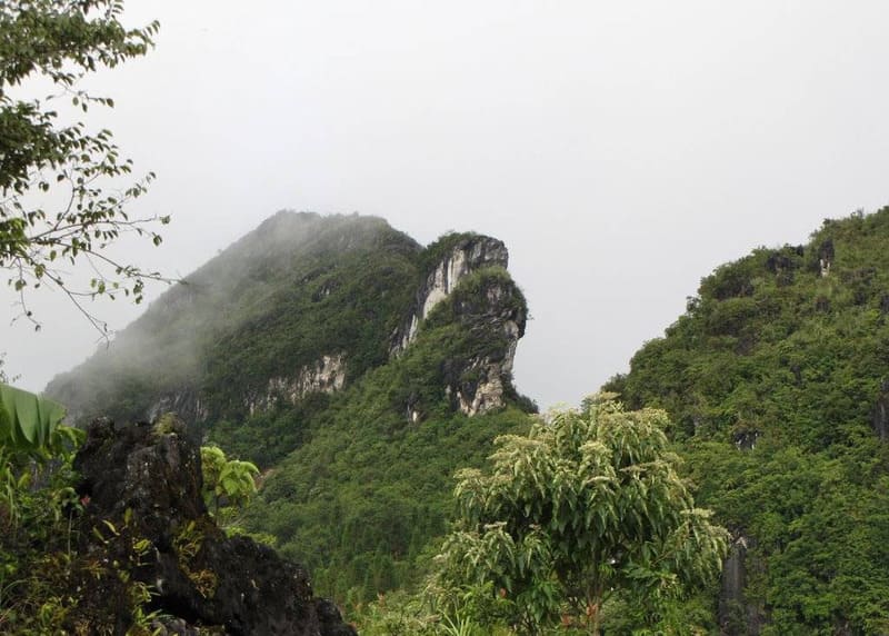 Ham Rong Mountain Sapa: Tickets, Attractions & Tips