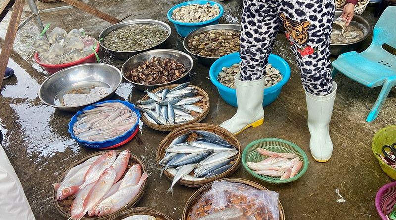 Fresh seafood at Han Market