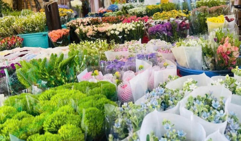 Fresh blooms from Da Lat
