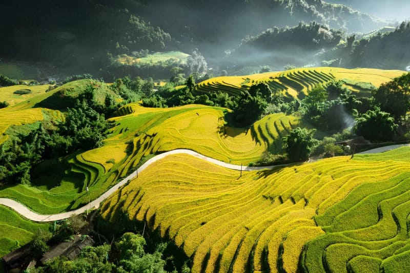 Lao Chai’s terraced rice fields