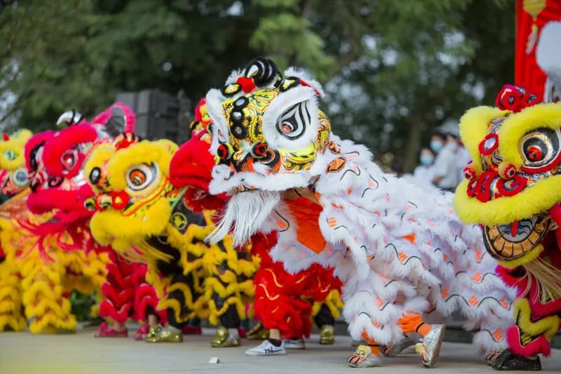 Lion dance performances