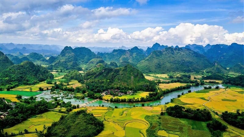Scenic rice terraces