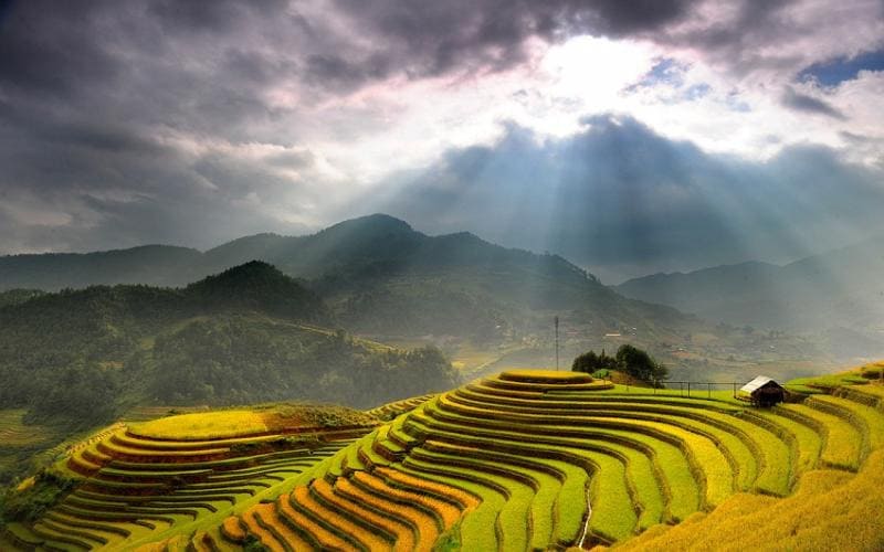 Layered rice terraces