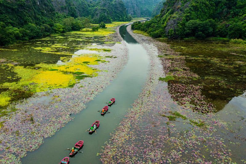 Ngo Dong River