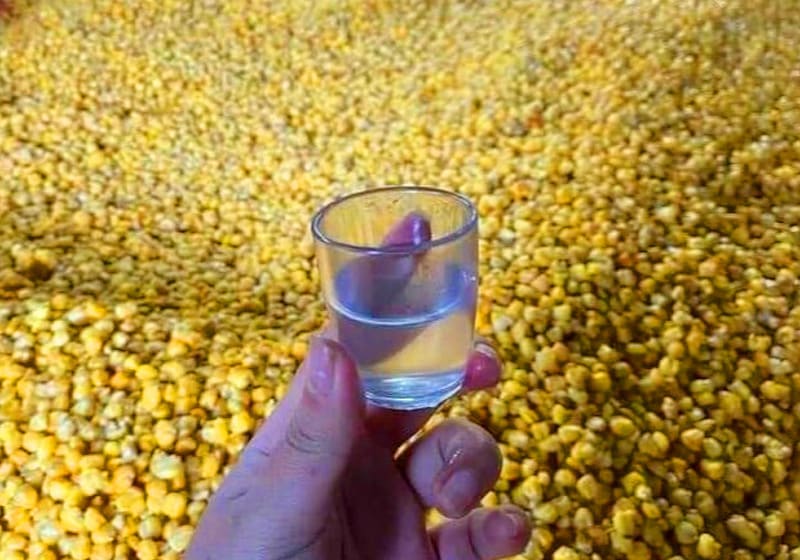 Corn Wine