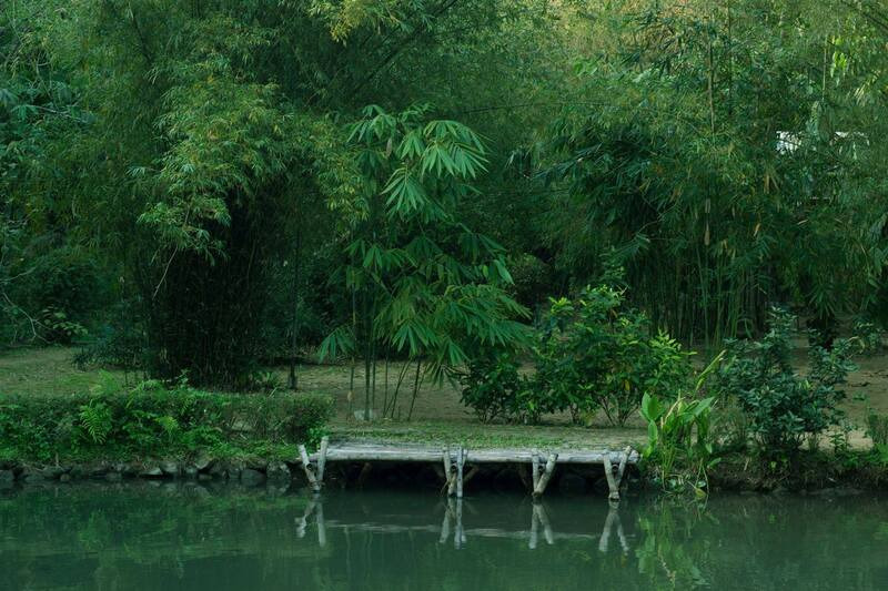 Son Tra Tinh Vien
